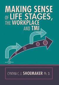 bokomslag Making Sense of Life Stages, the Workplace and Tmi