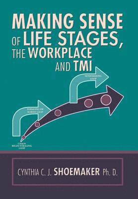 Making Sense of Life Stages, the Workplace and Tmi 1