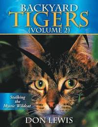 bokomslag Backyard Tigers (Volume 2)