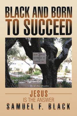 Black and Born to Succeed 1