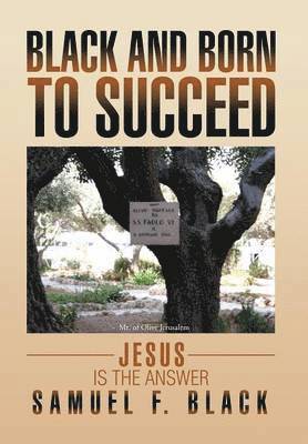 bokomslag Black and Born to Succeed