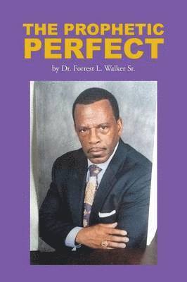 bokomslag The Prophetic Perfect