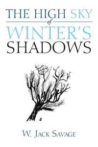bokomslag The High Sky of Winter's Shadows