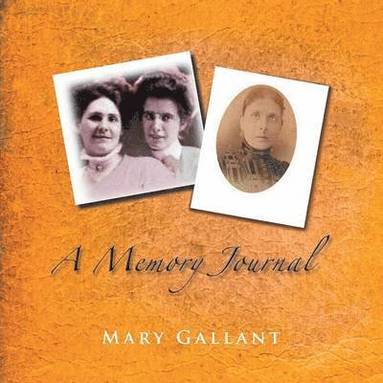 bokomslag Memory Journal