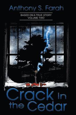 Crack in the Cedar 1