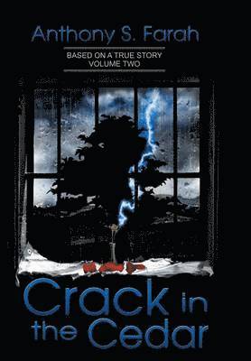 Crack in the Cedar 1