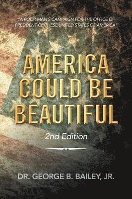 America Could Be Beautiful 1