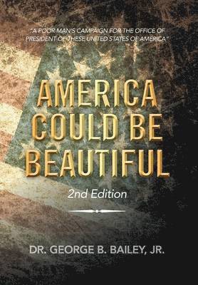 America Could Be Beautiful 1