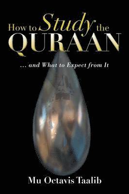 bokomslag How to Study the Quraan
