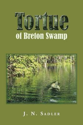 Tortue of Breton Swamp 1