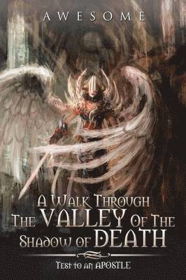 A Walk Through The Valley Of The Shadow of Death 1