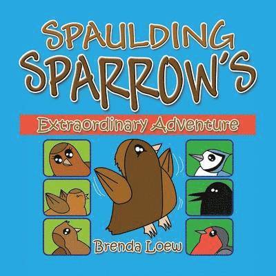 Spaulding Sparrow's Extraordinary Adventure 1