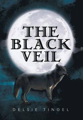 bokomslag The Black Veil