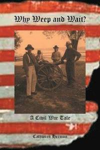 bokomslag Why Weep and Wait - A Civil War Tale