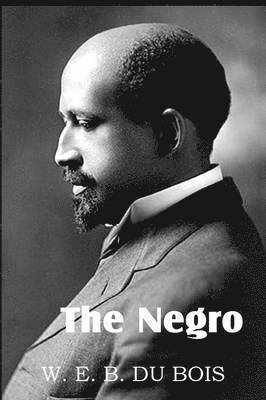The Negro 1