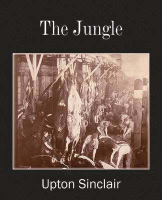 bokomslag Jungle