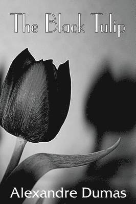 Alexandre Dumas - Black Tulip, Häftad