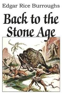bokomslag Back to the Stone Age