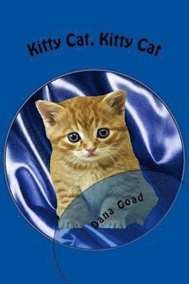 bokomslag Kitty Cat Kitty Cat