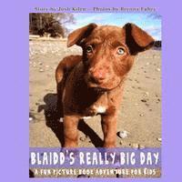 bokomslag Blaidd's Really Big Day: A Fun Picture Book Adventure