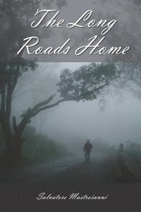 bokomslag The Long Roads Home: An Immigrant's Return To America