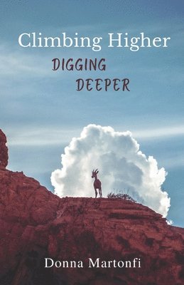 bokomslag Climbing Higher: Digging Deeper