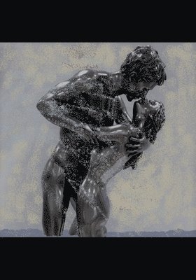 Richard Read, Jose Saco - The Fountain At Ugalini's: Illicit Liaisons, Volume 2, Häftad