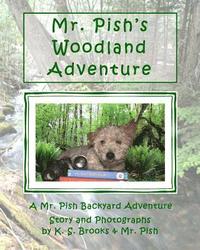 bokomslag Mr. Pish's Woodland Adventure