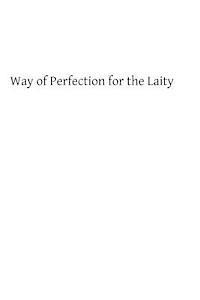 bokomslag Way of Perfection for the Laity: A Detailed Explanation of the Discalced Carmelite Third Secular Order Rule