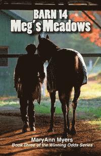 Barn 14: Meg's Meadows 1