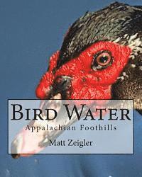 bokomslag Bird Water: Appalachian Foothills