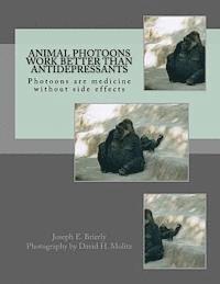 bokomslag Animal Photoons Work Better Than Antidepressants: Photoons are medicine without side effects