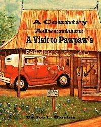bokomslag A Country Adventure: A Visit to Pawpaw's Series