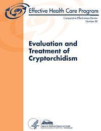 bokomslag Evaluation and Treatment of Cryptorchidism: Comparative Effectiveness Review Number 88