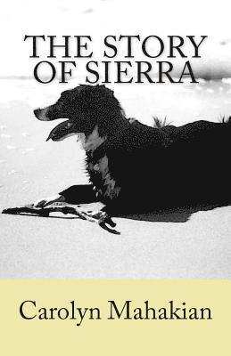 The Story of Sierra 1