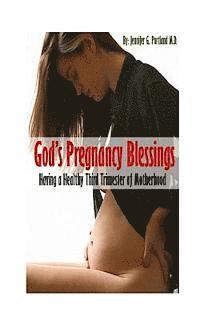 bokomslag God's Pregnancy Blessings: Having a Healthy Third Trimester of Motherhood