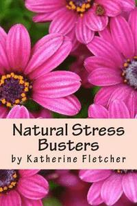 bokomslag Natural Stress Busters