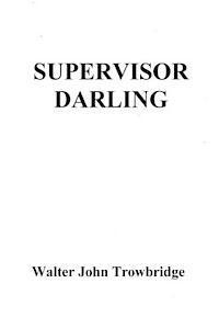 bokomslag Supervisor Darling