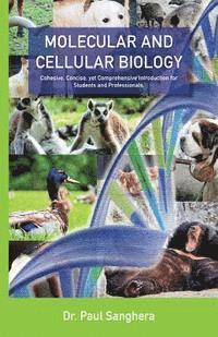 bokomslag Molecular and Cellular Biology: Cohesive, Concise, yet Comprehensive Introduction for Students and Professionals.