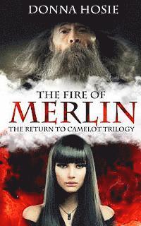 bokomslag The Fire of Merlin