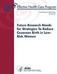 bokomslag Future Research Needs for Strategies To Reduce Cesarean Birth in Low-Risk Women: Future Research Needs Paper Number 22