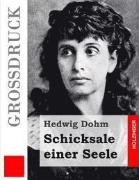 Schicksale einer Seele (Großdruck)