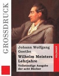 bokomslag Wilhelm Meisters Lehrjahre (Großdruck)