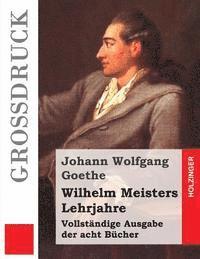 Wilhelm Meisters Lehrjahre (Großdruck) 1