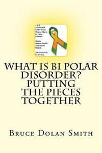 bokomslag What is Bi Polar Disorder? Putting the Pieces Together
