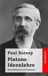 bokomslag Platons Ideenlehre: Eine Einführung in den Idealismus