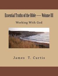 bokomslag Essential Truths of the Bible: Working With God