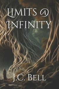 bokomslag Limits @ Infinity