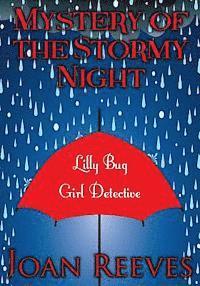 bokomslag Mystery of the Stormy Night: Lilly Bug, Girl Detective, Mystery