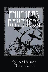 bokomslag Phinneas Ravencog: Phinneas Ravencog: A story of imagination and possibility